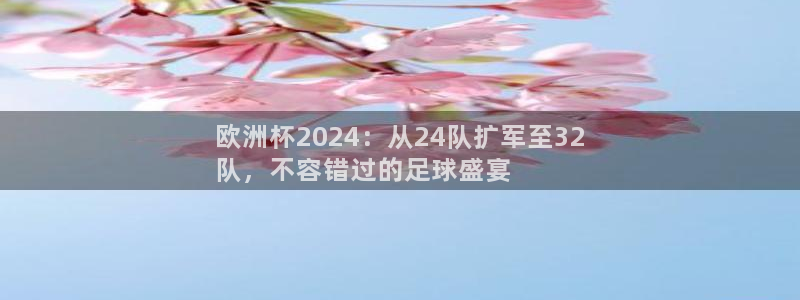 2024年欧洲杯投注：欧洲杯2024：从24队扩军至32
队，不容错过的足球盛宴