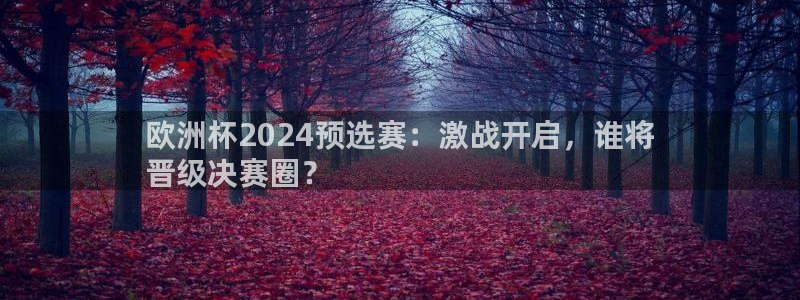 欧洲杯买球手机app：欧洲杯2024预选赛：激战开启，谁将
晋级决赛圈？