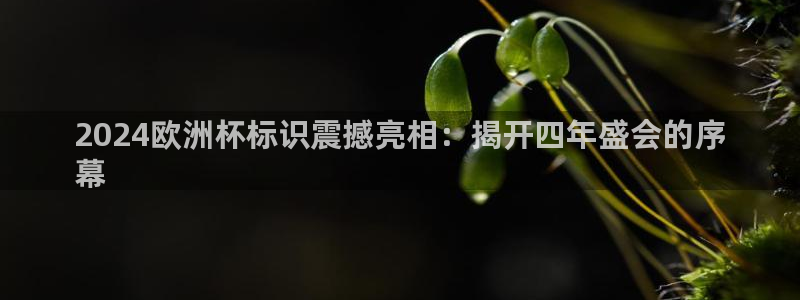 欧洲杯指定投注网站|2024欧洲杯标识震撼亮相：揭开四年盛会的序
幕