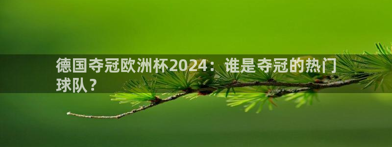 欧洲杯官网|德国夺冠欧洲杯2024：谁是夺冠的热门
球队？