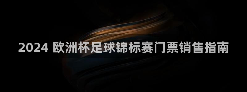 网上哪个平台可以买足球|2024 欧洲杯足球锦标赛门票销售指南