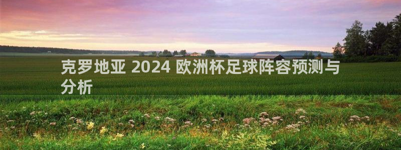 欧洲杯押注入口|克罗地亚 2024 欧洲杯足球阵容预测与
分析