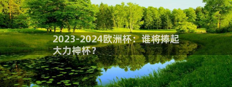 欧洲杯在哪个网站购买|2023-2024欧洲杯：谁将捧起
大力神杯？