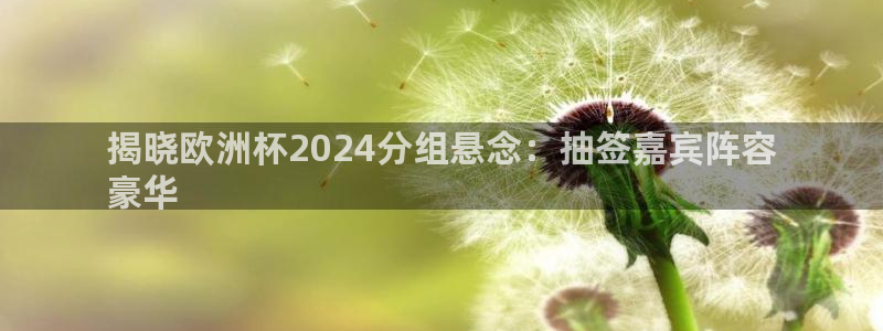 欧洲杯押注入口|揭晓欧洲杯2024分组悬念：抽签嘉宾阵容
豪华