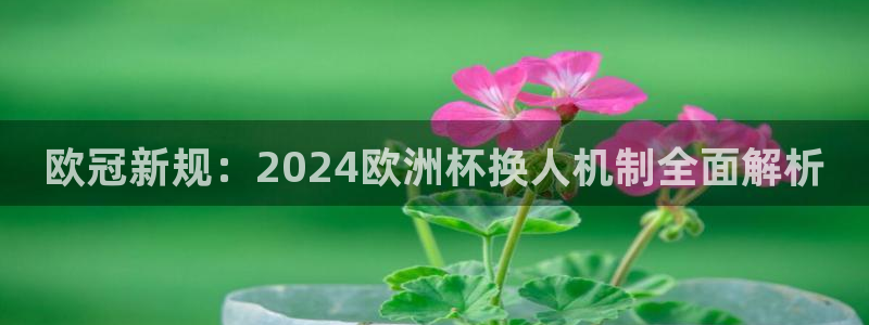 2024欧洲杯买球推荐