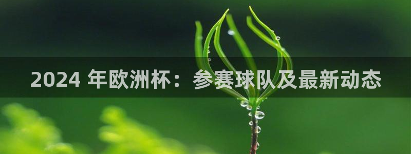 欧洲杯直播平台|2024 年欧洲杯：参赛球队及最新动态